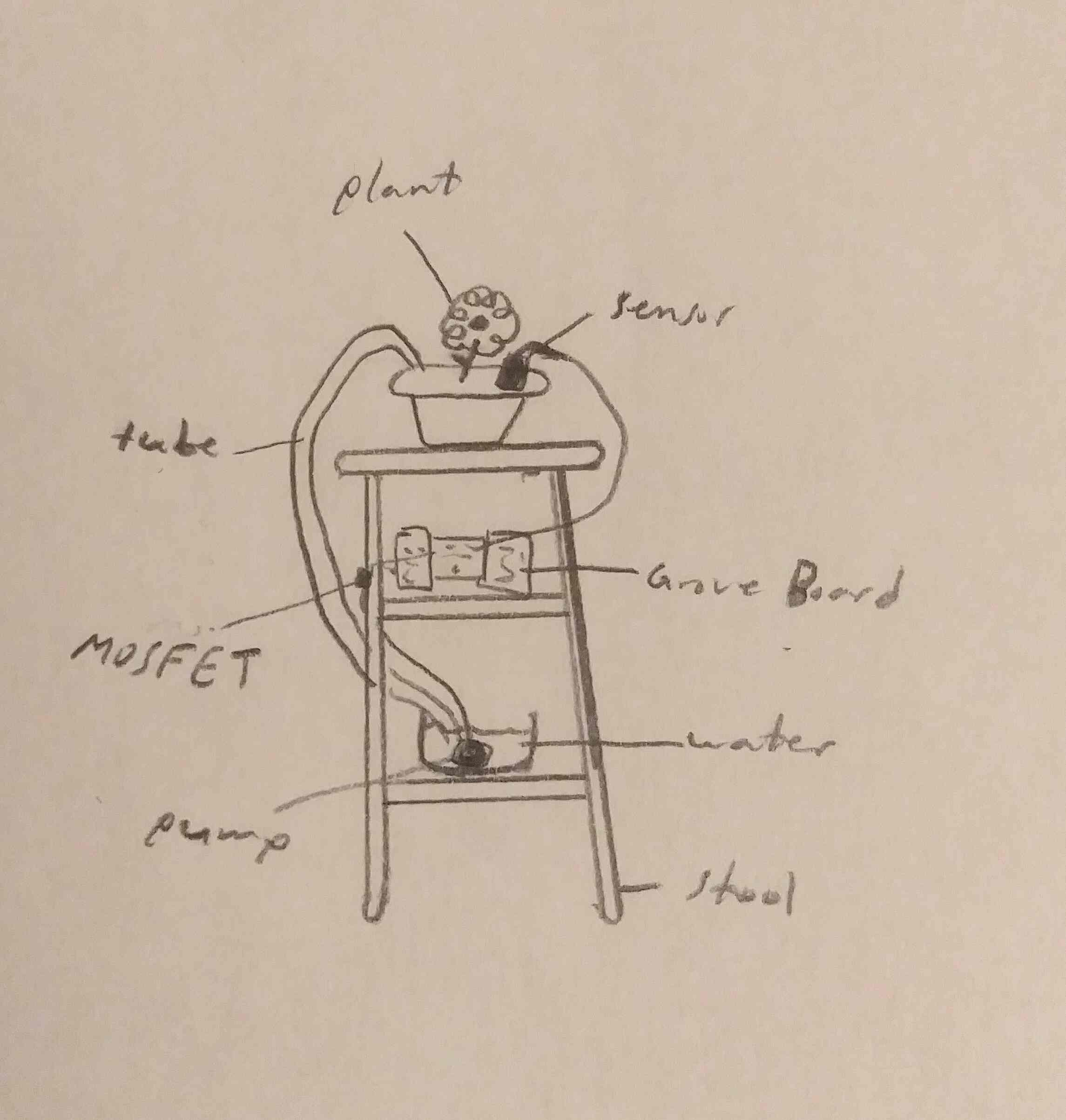 A rough sketch of the automated plant watering system